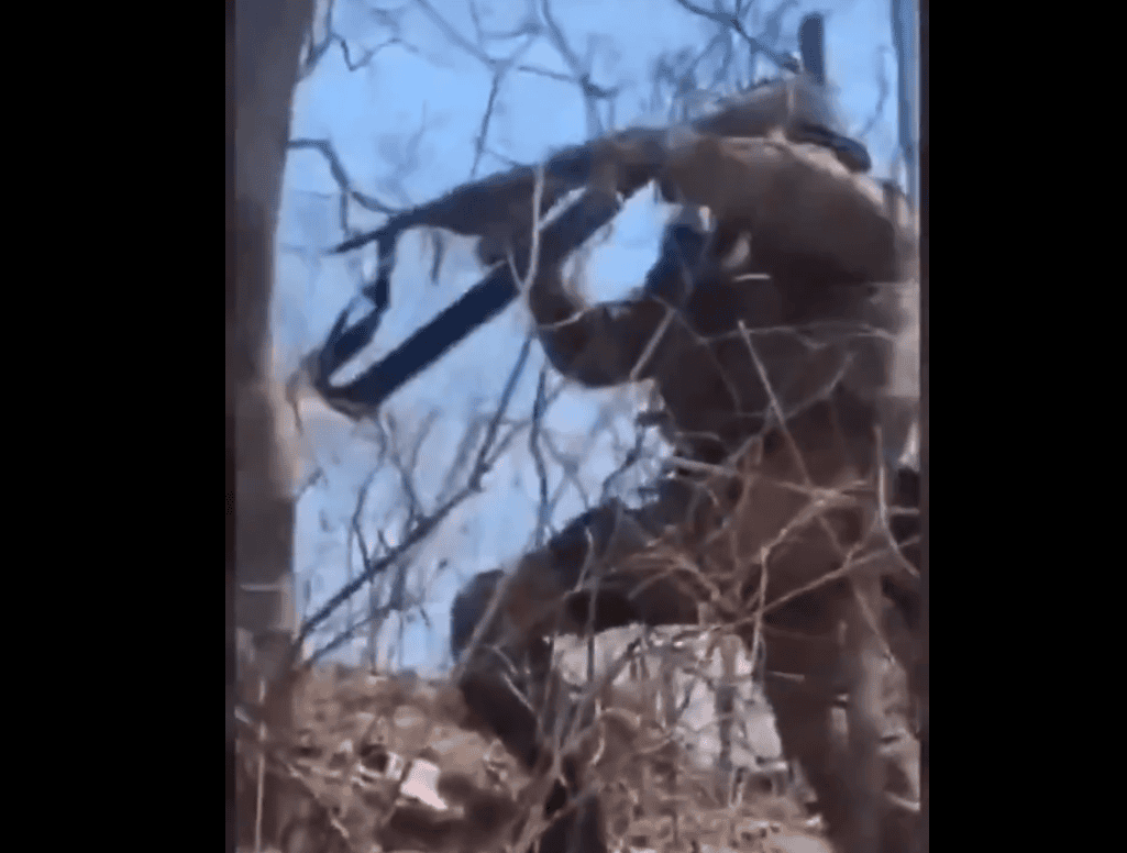 Violencia-en-Durango