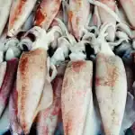 Operación Calamar Gigante III